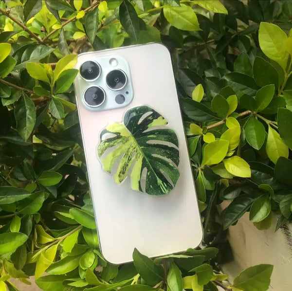 Acrylic Leaf Phone Stand