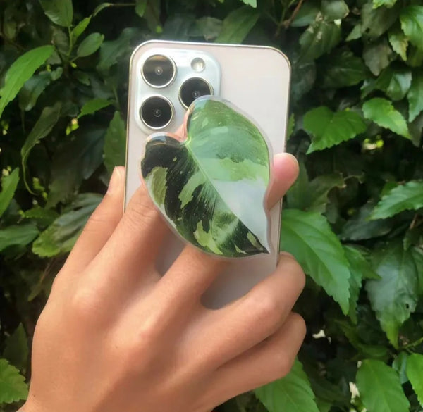 Acrylic Leaf Phone Stand