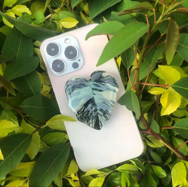 Acrylic Leaf Phone Stand