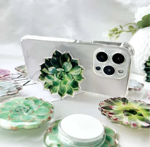 Succulent Phone Stand