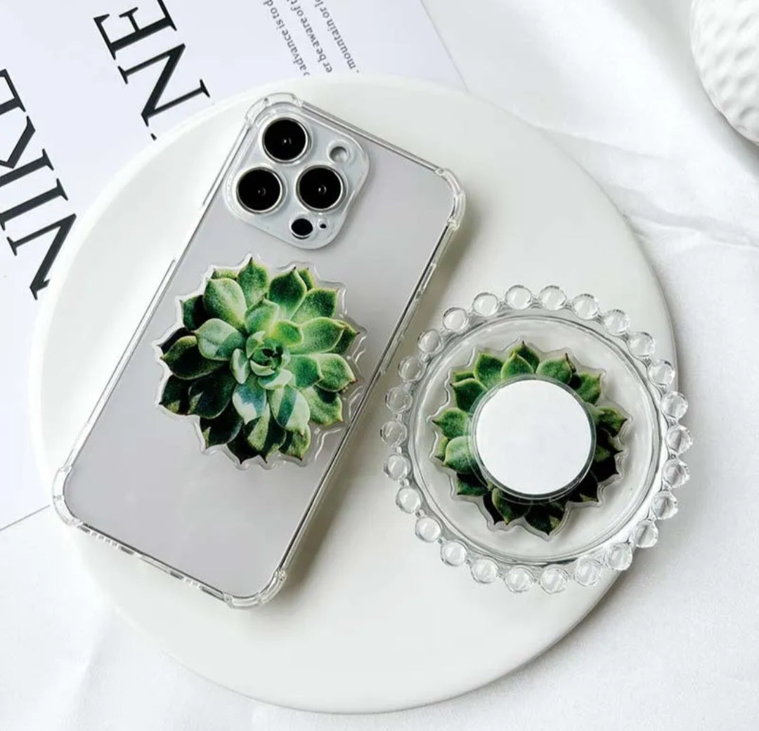Succulent Phone Stand