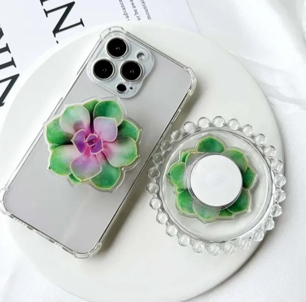 Succulent Phone Stand