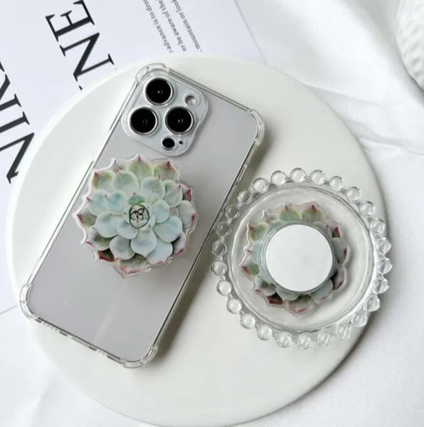 Succulent Phone Stand