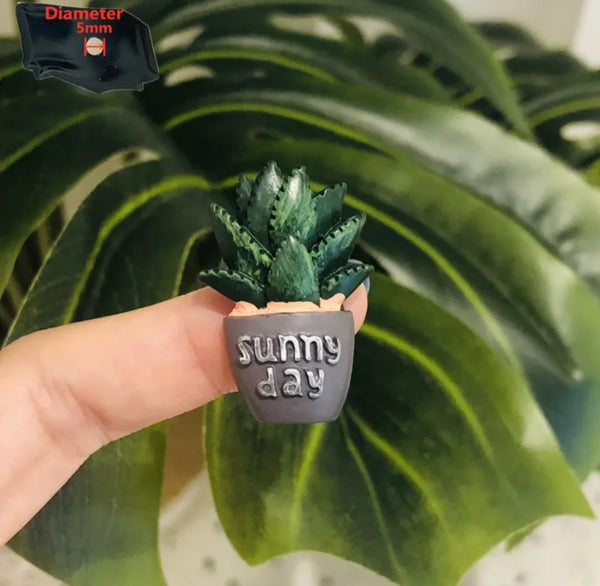 Mini Potted Cacti Magnets
