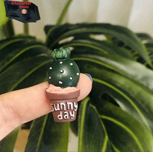 Mini Potted Cacti Magnets