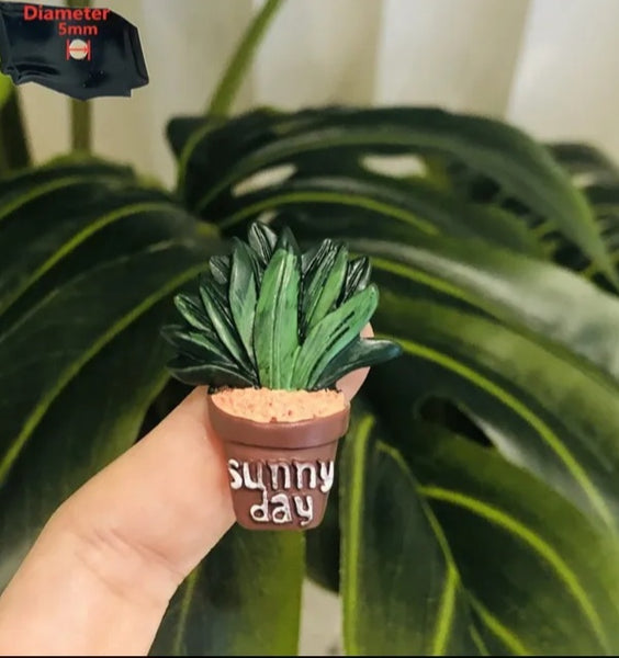 Mini Potted Cacti Magnets